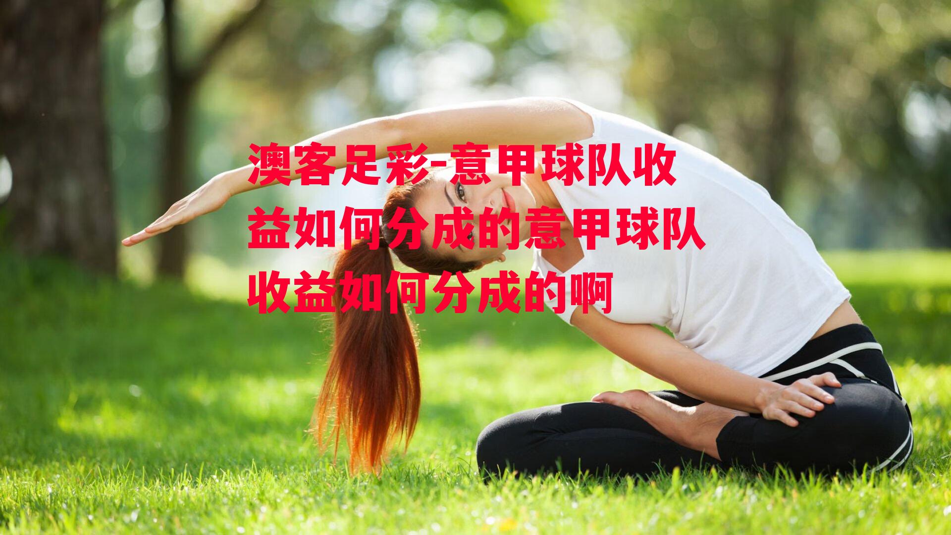 意甲球队收益如何分成的意甲球队收益如何分成的啊