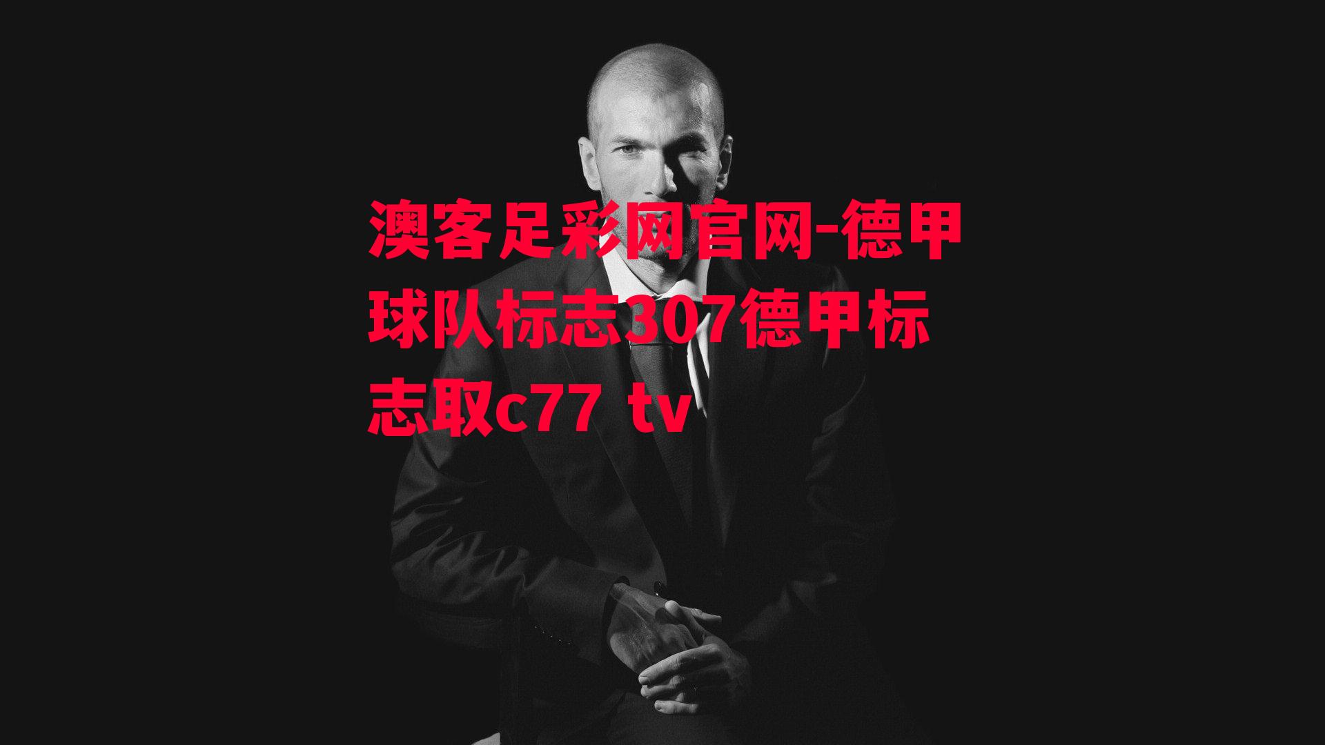 德甲球队标志307德甲标志取c77 tv